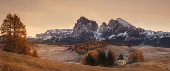 Photo sur Plexiglas Dolomites Italy. Dolomites. Before sunrise on the plateau of Alpe Di Siusi