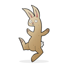 funny cartoon rabbit