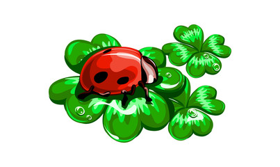 Naklejka premium божья коровка на клевере