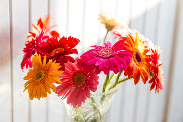 Colorful gerbera flowers on the wooden background