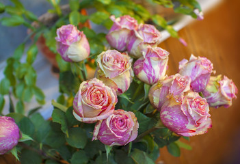 Beautiful marble roses bouquet
