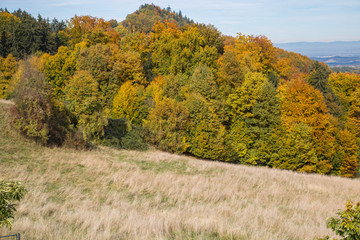 Fototapeta premium herbstlich verfärbte Wälder schmiegen sich an sanftes Hügelland