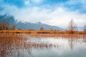 Water is lifted high in the swamp on a cloudy winter day