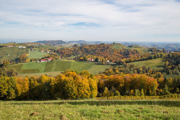 Obraz premium Herbstlich verfärbte Weinberge im südsteirischen Hügelland