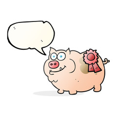 speech bubble cartoon prize winning pig