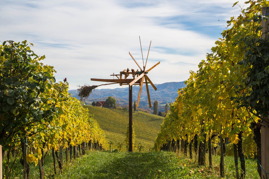 Klapotetz auf steirischem Weinberg