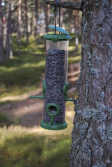 Feeder for small birds with seeds hanging on a tree. Feeding birds in winter.
