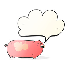 speech bubble cartoon pig