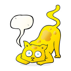 speech bubble cartoon cat