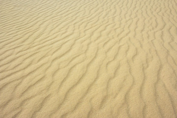 Fototapeta na wymiar perfect texture of sand waves. pattern of sand.