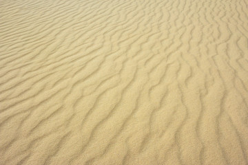 perfect texture of sand waves.  pattern of sand.