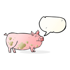 speech bubble cartoon muddy pig