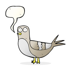 speech bubble cartoon pigeon