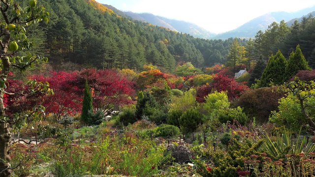 Autumn in The Garden of Morning Calm. Gapyeong, 