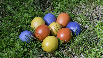 Easter eggs and  in the grass