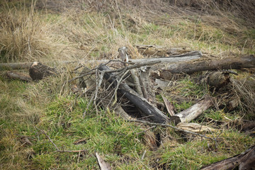 Dry old logs & sticks in autumn field closeup