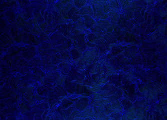  dark blue  background with floral patterns.