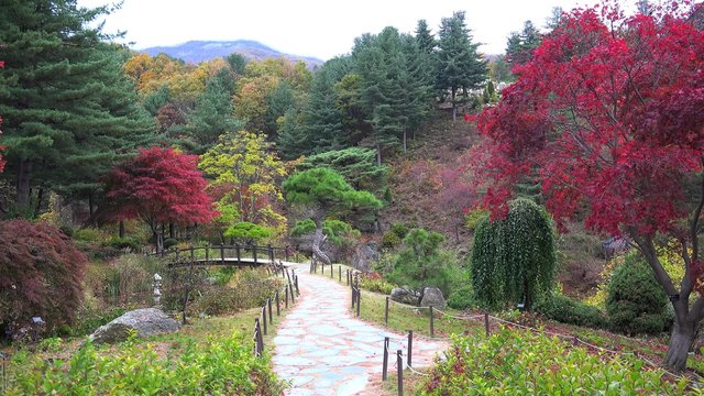 Visitors on the scenic walkway at The Garden of Morning Calm at autumn. Gapyeong