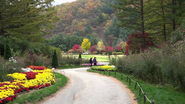 Visitors on the scenic walkway at The Garden of Morning Calm at autumn. Gapyeong