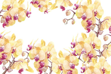 orchid flower print in soft colors, watercolor