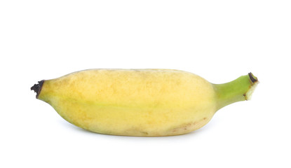 cultivated banana on white background