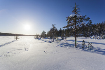 Winter landscape on a sunset. Mountains, Finland.