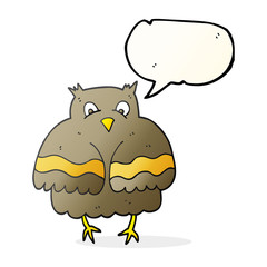 speech bubble cartoon owl