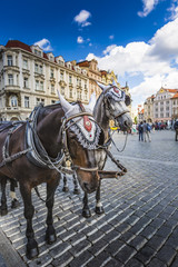 Fototapeta na wymiar Horse Carriage waiting for tourists at the Old Square in Prague.