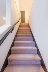 Fototapeta na wymiar Stairs with carpet in a house.