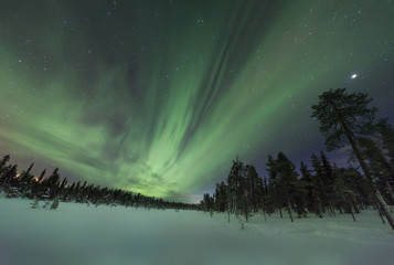 Spectacular aurora borealis (northern lights) over a path through winter landscape in Finnish Lapland.