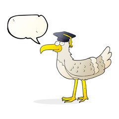 speech bubble cartoon seagull with graduate cap