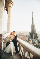 Obraz na płótnie Canvas Stylish beautiful wedding couple kissing and hugging on background panoramic view of the old town