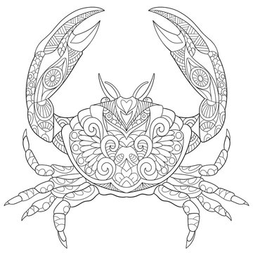 Zentangle stylized cartoon crab, isolated on white background. Sketch for adult antistress coloring page. Hand drawn doodle, zentangle, floral design elements for coloring book.