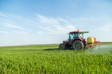 Farmer spraying green wheat field - obrazy, fototapety, plakaty