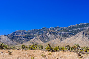 Red Rock Canyon panoramic, Mojave Desert, Nevada, USA