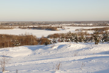 Снежное поле и ели в снегу зимним солнечным днем