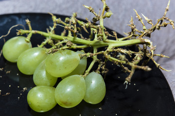 bunch of green wine on a black plate rest