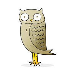 cartoon owl