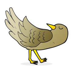 cartoon bird