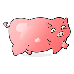 cartoon pig