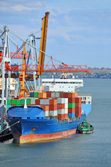 Fototapeta premium Cargo crane and container ship
