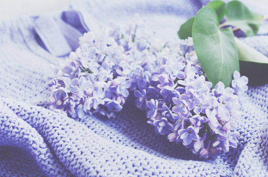 Tender lilac flowers over knitted sweater