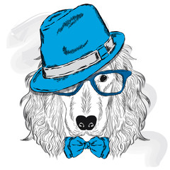 Spaniel vector . Pedigree dog. Cute puppy. Spaniel wearing a hat , sunglasses and a tie . 