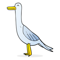 cartoon bird