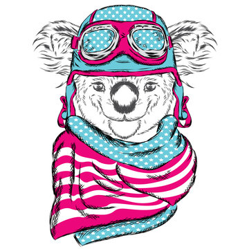 Cute koala in a helmet and scarf. Koala vector. Greeting card with bear. Australia.