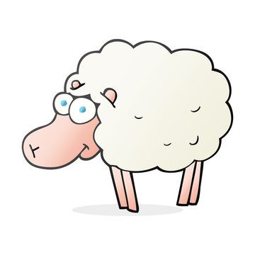 funny cartoon sheep