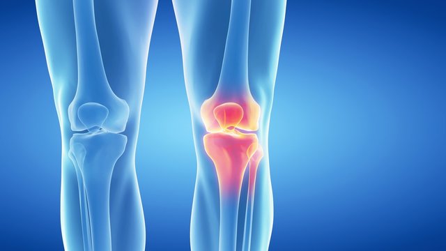 medical 3d animation of the skeletal knee
