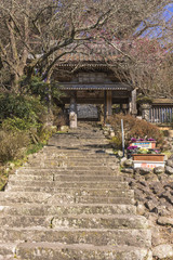 Fototapeta premium 豊後高田市の富貴寺