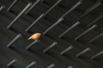 Wooden bird on the pin