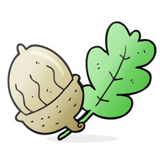 cartoon acorn